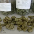  A Guide to Medical Marijuana in Michigan: The Healing Path