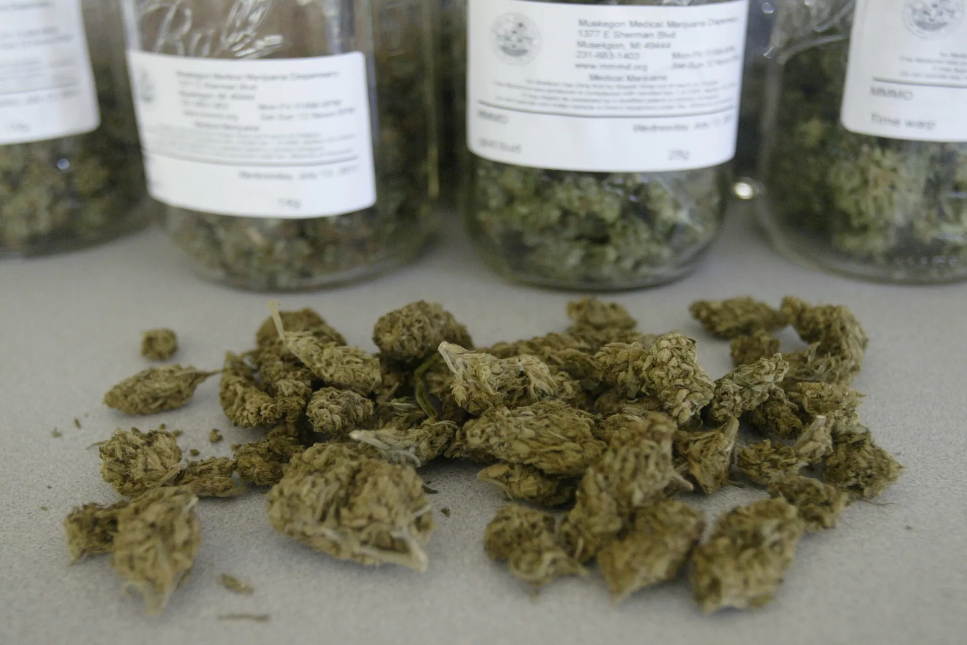  A Guide to Medical Marijuana in Michigan: The Healing Path