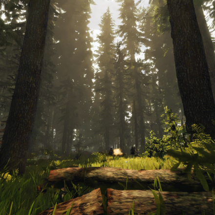 Exploring Nature: The Forest Download Guide
