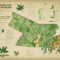 Navigating Maryland Dispensaries: Your Go-To Map Guide