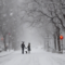 Embracing Winter: A Snowstorm of Love